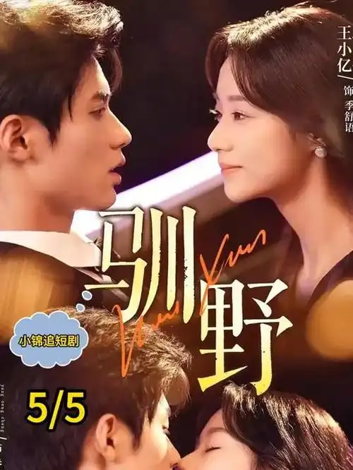 高分美剧《双城急诊室》剧照